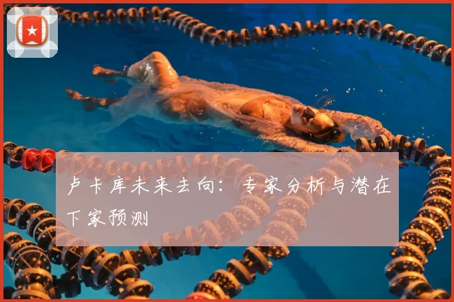 卢卡库未来去向：专家分析与潜在下家预测
