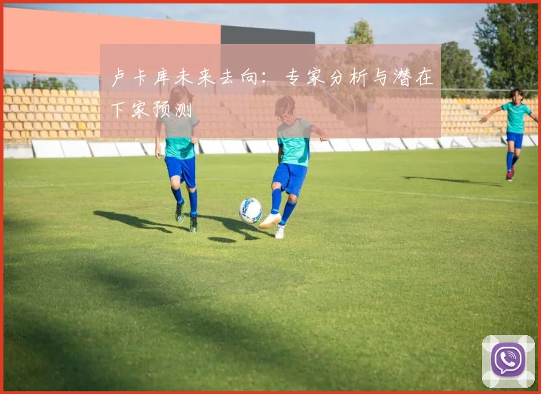 卢卡库未来去向：专家分析与潜在下家预测