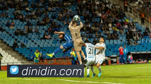 互动解说服务